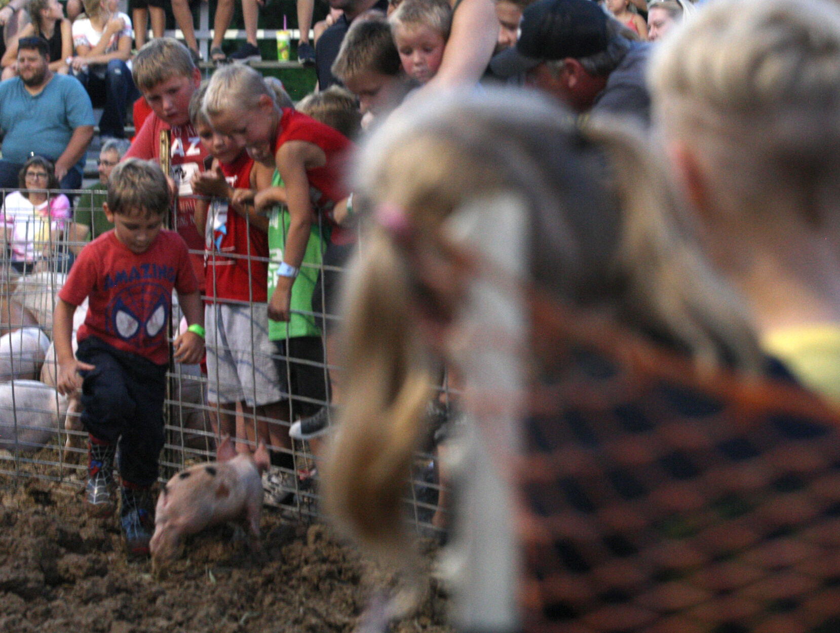 Colton Strubberg races after piglets